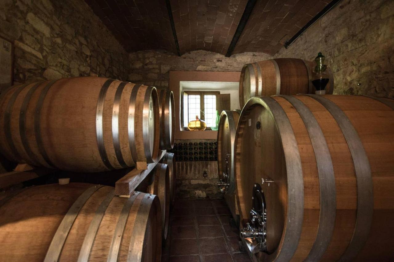 Agriturismo Buondonno Castellina in Chianti Zewnętrze zdjęcie